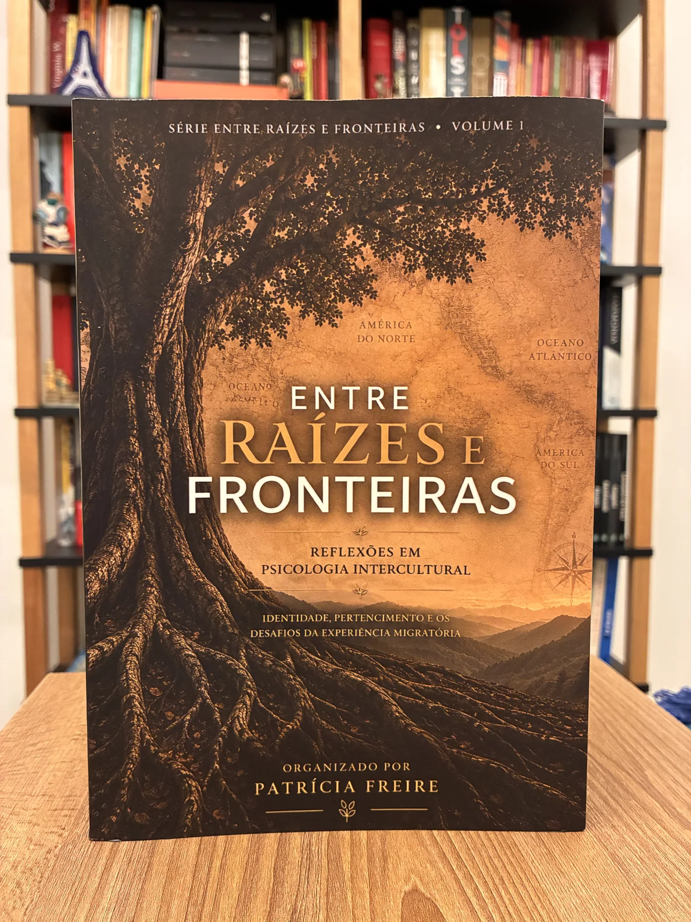 Livro Entre raízes e fronteiras